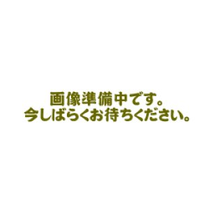 画像: 日本の紅茶 しずかおり　25g